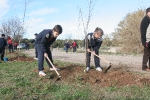 Los escolares del CP Illes Columbretes plantan árboles en el paraje del Clot