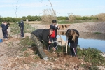 Los escolares del CP Illes Columbretes plantan árboles en el paraje del Clot