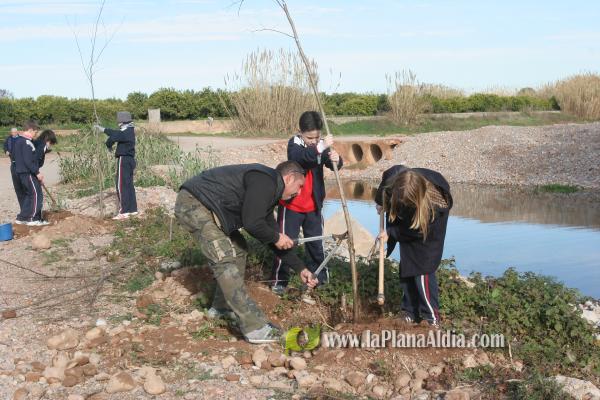Los escolares del CP Illes Columbretes plantan árboles en el paraje del Clot