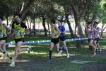 Mohamed Elbendir y Marisa Casanueva ganan  el XXI Cross Internacional Ciudad de Castellón