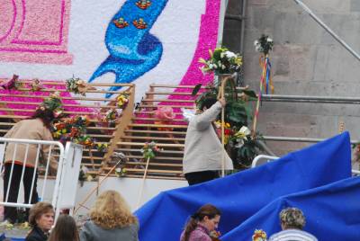 Fotografia /Gallery/27676_15619/4_M1.jpg