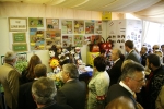 La XXVII Fira de Sant Vicent empieza con las mejores perspectivas