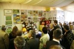 La XXVII Fira de Sant Vicent empieza con las mejores perspectivas