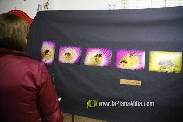 La XXVII Fira de Sant Vicent empieza con las mejores perspectivas