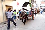 Honores a Sant Vicent 