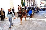 Nules Honra a Sant Vicent 