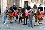 Nules Honra a Sant Vicent 