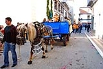Nules Honra a Sant Vicent 