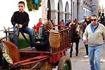 Nules Honra a Sant Vicent 