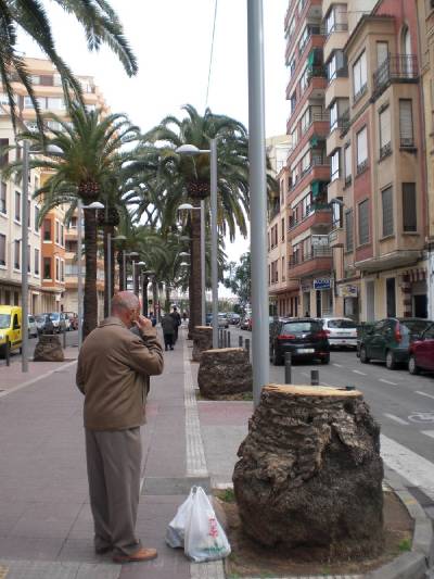 Fotografia /Gallery/28808_16210/2_M1.jpg