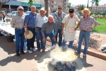 Paellas en Nules 