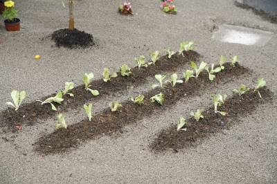 Fotografia /Gallery/29494_16558/3_M1.jpg