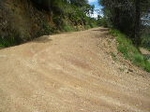 Fotografia /Gallery/29937_16756/3_M1.jpg