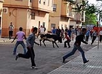 Fotografia /Gallery/30160_16856/4_M1.jpg