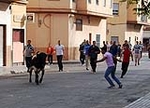 Fotografia /Gallery/30160_16856/6_M1.jpg