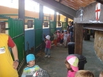 Fotografia /Gallery/30681_17219/10_M1.jpg