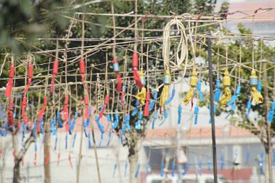 Fotografia /Gallery/3218_1794/4_M1.jpg