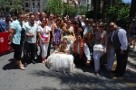 Ambiente Burrianero en Alicante 2010