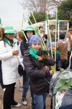 Multitudinaria peregrinación a La Magdalena