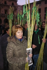 Multitudinaria peregrinación a La Magdalena