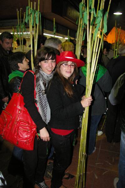 Fotografia /Gallery/3233_1806/2_M1.jpg