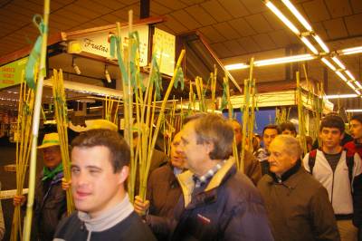 Fotografia /Gallery/3233_1806/3_M1.jpg