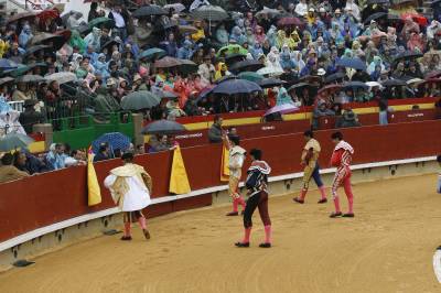 Fotografia /Gallery/3253_1813/6_M1.jpg