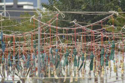 Fotografia /Gallery/3265_1823/2_M1.jpg