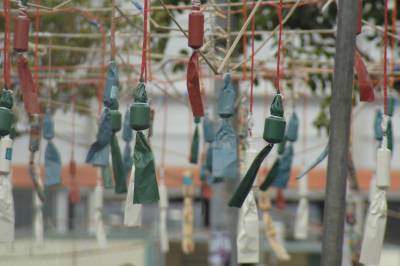 Fotografia /Gallery/3265_1823/4_M1.jpg