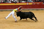 Pedro Imaz gana el Concurso Nacional de Recortes Magdalena 2008.