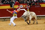 Pedro Imaz gana el Concurso Nacional de Recortes Magdalena 2008.
