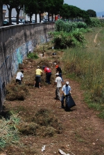 Limpieza Rio Ana