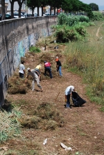 Limpieza Rio Ana