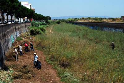 Limpian la zona de ratas del río Ana