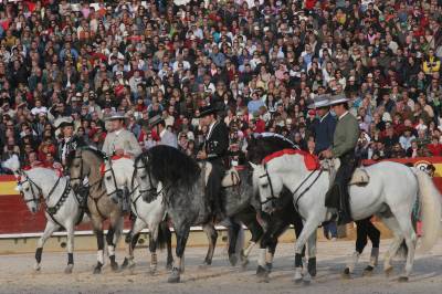 Fotografia /Gallery/3331_1869/2_M1.jpg