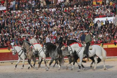 Fotografia /Gallery/3331_1869/3_M1.jpg