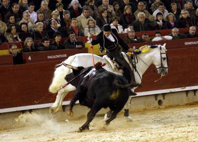 Fotografia /Gallery/3333_1871/2_M1.jpg