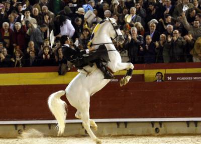 Fotografia /Gallery/3333_1871/4_M1.jpg