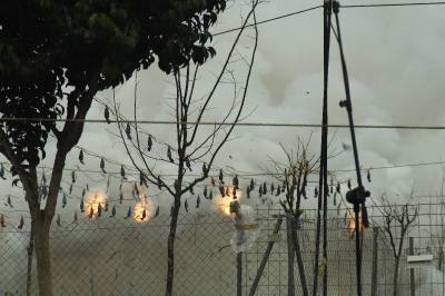 Fotografia /Gallery/3345_1882/3_M1.jpg