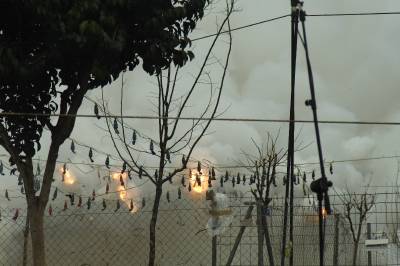 Fotografia /Gallery/3345_1882/4_M1.jpg