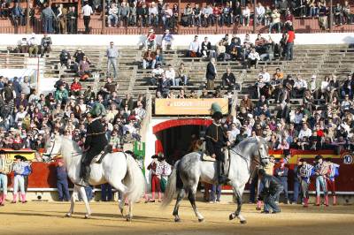 Fotografia /Gallery/3361_1892/4_M1.jpg