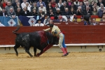 José Tomás triunfa y sale por la puerta grande