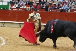 José Tomás triunfa y sale por la puerta grande