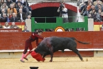José Tomás triunfa y sale por la puerta grande