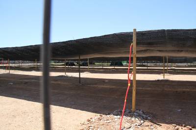 Fotografia /Gallery/33771_18677/3_M1.jpg