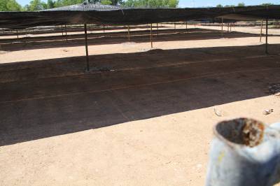 Fotografia /Gallery/33771_18677/5_M1.jpg