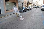 Traca Falla La Mercé, Traca a Paula Vidal del Campillo