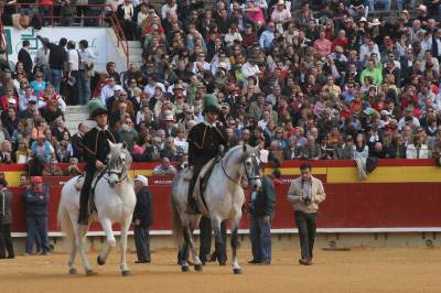 Fotografia /Gallery/3400_1912/2_M1.jpg