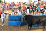 FINAL