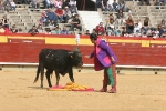 El Chino Torero deparó una mañana de lo más festiva